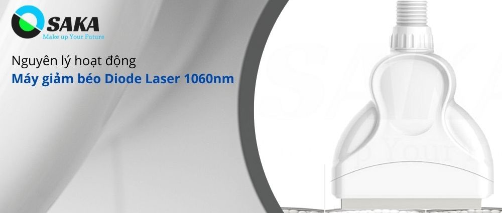 Nguyên lý hoạt động máy giảm béo Diode Laser 1060nm