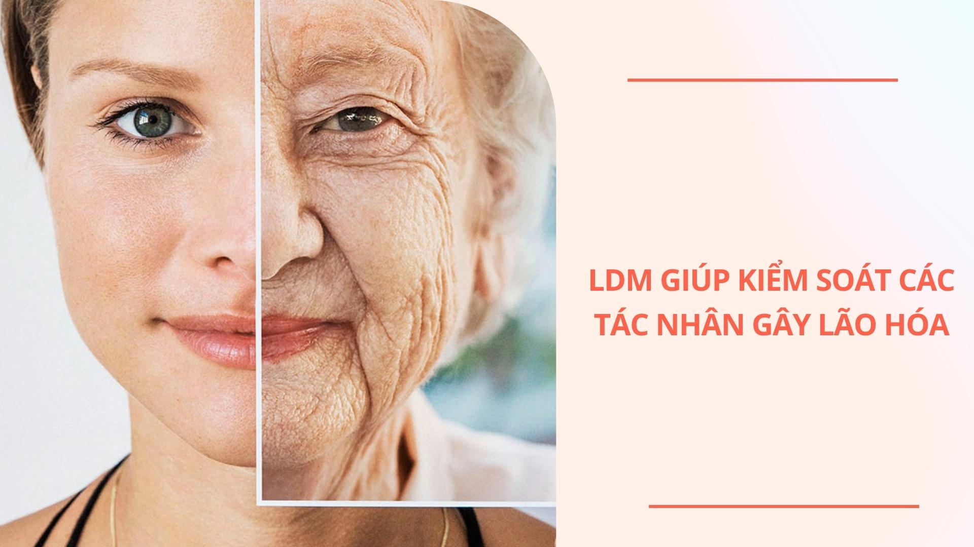 LDM giúp kiểm soát các tác nhân gây lão hóa da